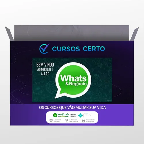 Como Vender Mais Usando o Whatsapp - Luiz Felipe Castro