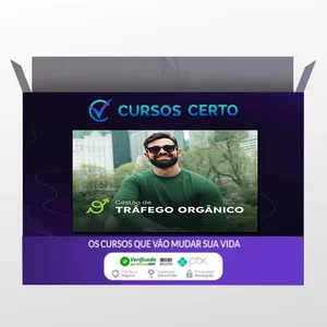Gestor de Tráfego Orgânico - Pedro Sobral